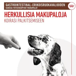 Royal Canin Gastrointestinal Treats 230 g