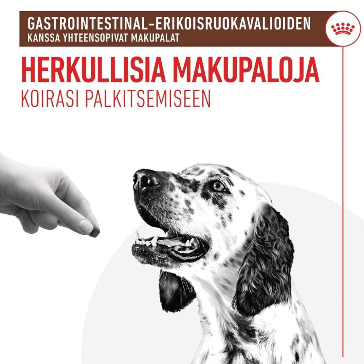 Royal Canin Gastrointestinal Treats 230 g