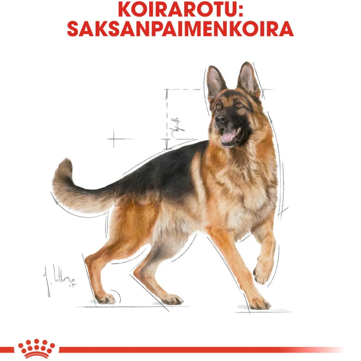 Royal Canin German Shepherd Adult 11 kg
