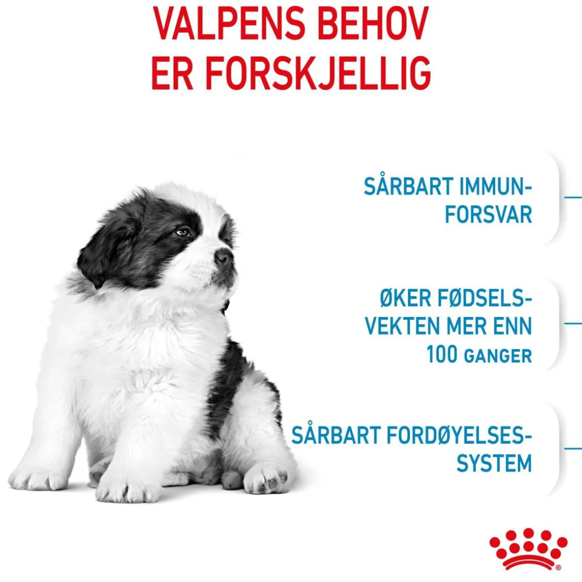 Royal Canin Giant Puppy 2 x 15kg