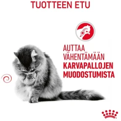 Royal Canin Hairball Care