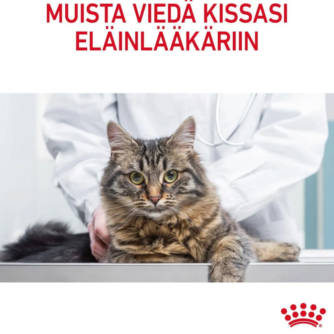 Royal Canin Hairball Care, 12x85g