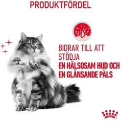 Royal Canin Hair & Skin Care Jelly 85g, 48-pack