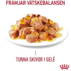 Royal Canin Hair & Skin Care Jelly 85g, 48-pack