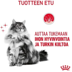 Royal Canin Hair & Skin Care Jelly 85g, 48-pack