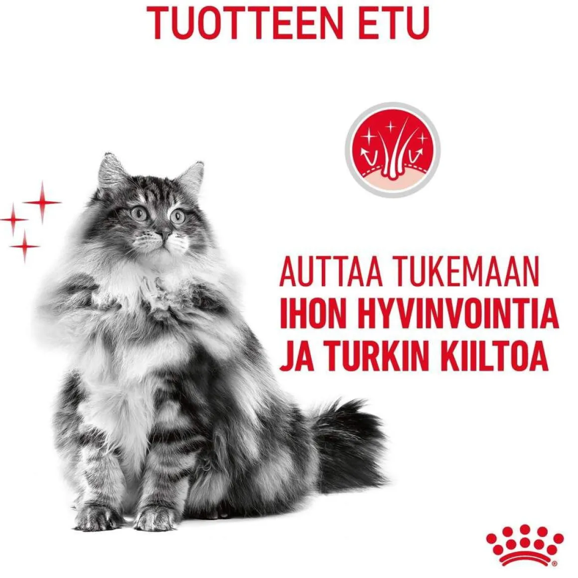 Royal Canin Hair & Skin Care Jelly 85g, 48-pack
