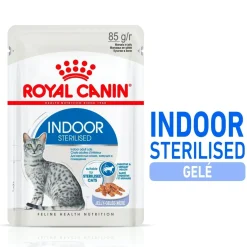Royal Canin Indoor Jelly 85 g, 48-pack