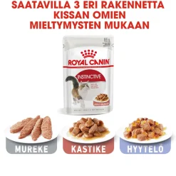 Royal Canin Instinctive Gravy, 12x85g
