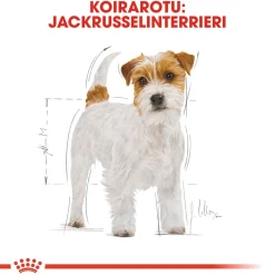 Royal Canin Jack Russel Adult