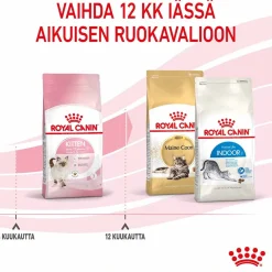 Royal Canin Kitten