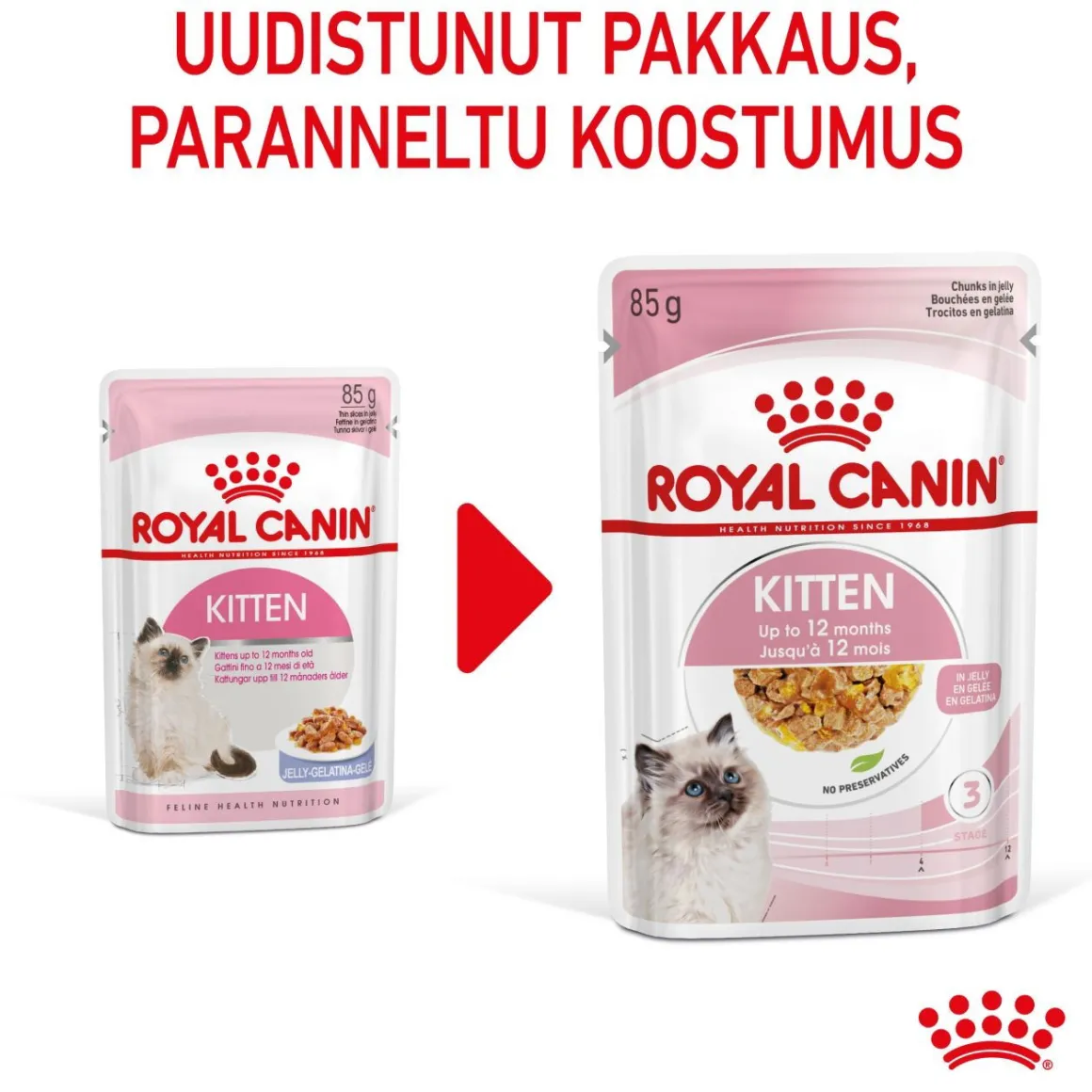 Royal Canin Kitten Jelly, 12x85g