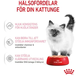 Royal Canin Kitten Loaf 85g, 48-pack