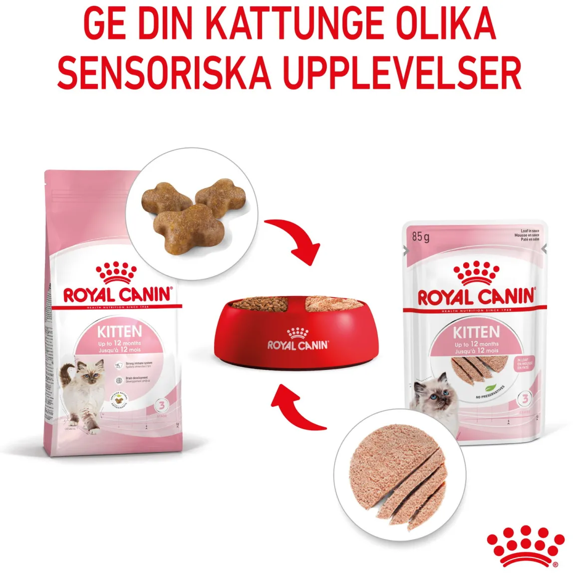 Royal Canin Kitten Loaf 85g, 48-pack