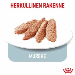 Royal Canin Light weight Care wet 12 x 85 g