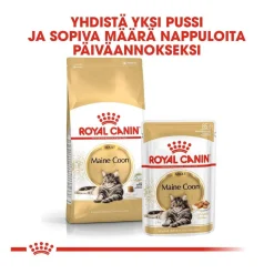 Royal Canin Maine Coon Adult