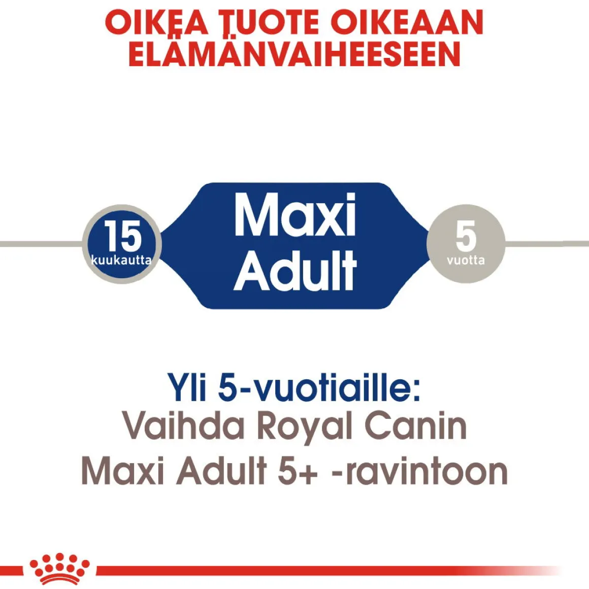 Royal Canin Maxi Adult