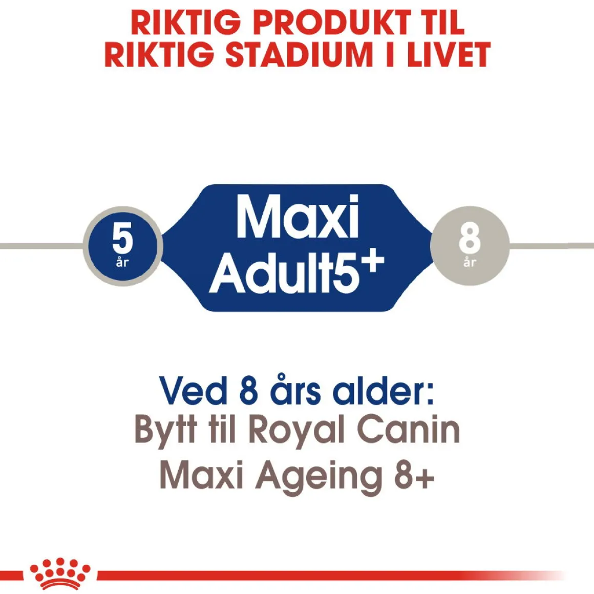 Royal Canin Maxi Adult 5+ 2 x 15kg