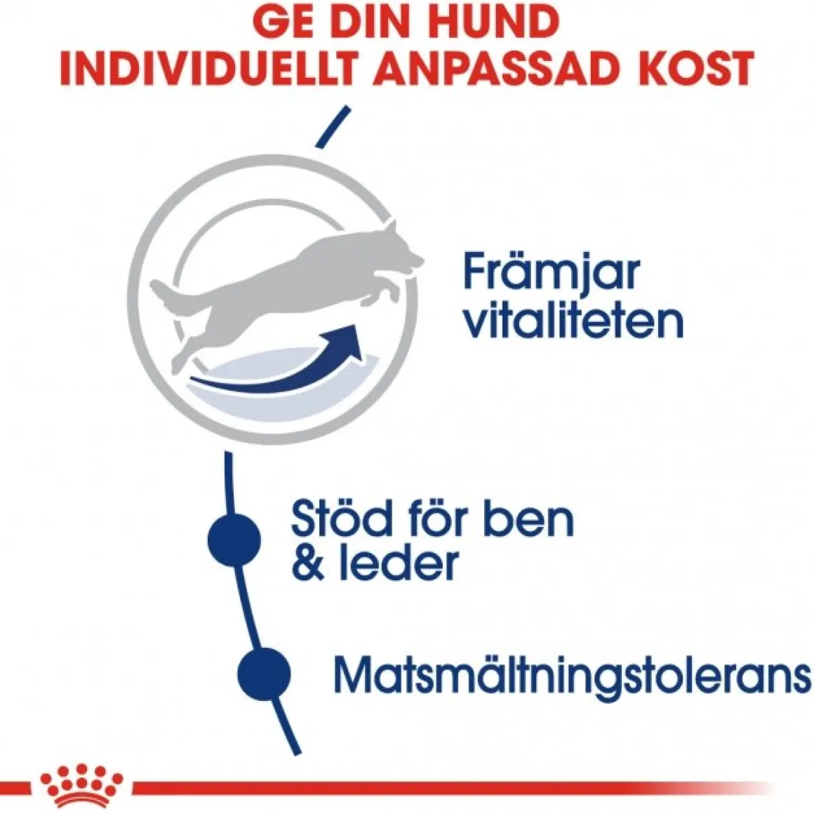 Royal Canin Maxi Adult 5+ 2 x 15kg