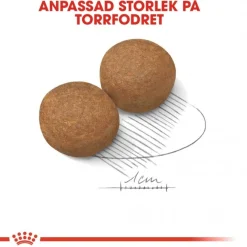 Royal Canin Maxi Adult 2 x 15 kg