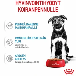 Royal Canin Maxi Puppy Wet 10x140g