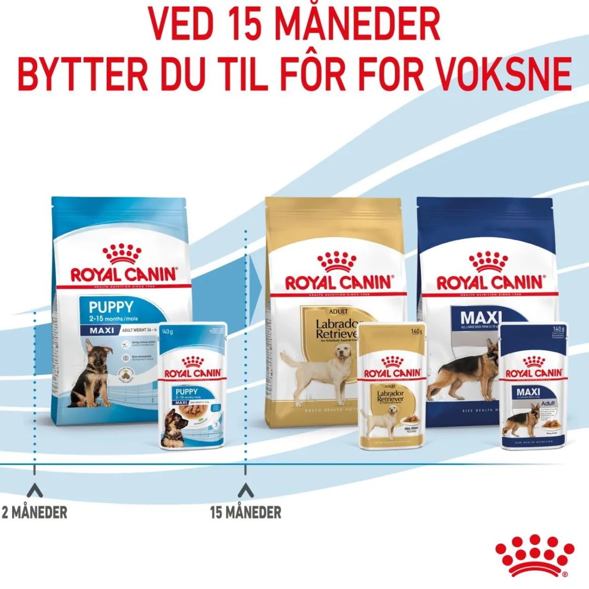 Royal Canin Maxi Puppy 40x140 g
