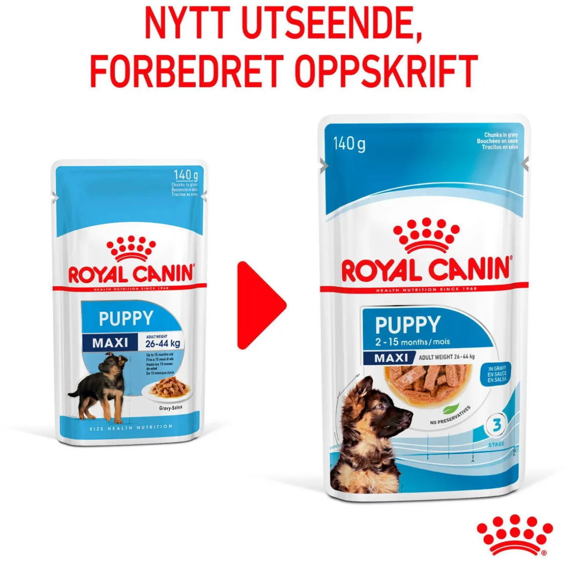 Royal Canin Maxi Puppy 40x140 g