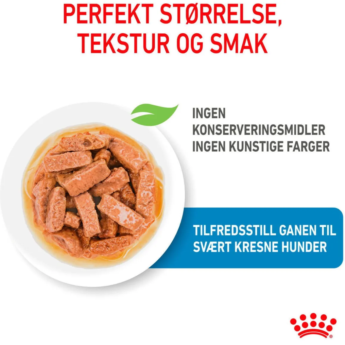 Royal Canin Maxi Puppy 40x140 g