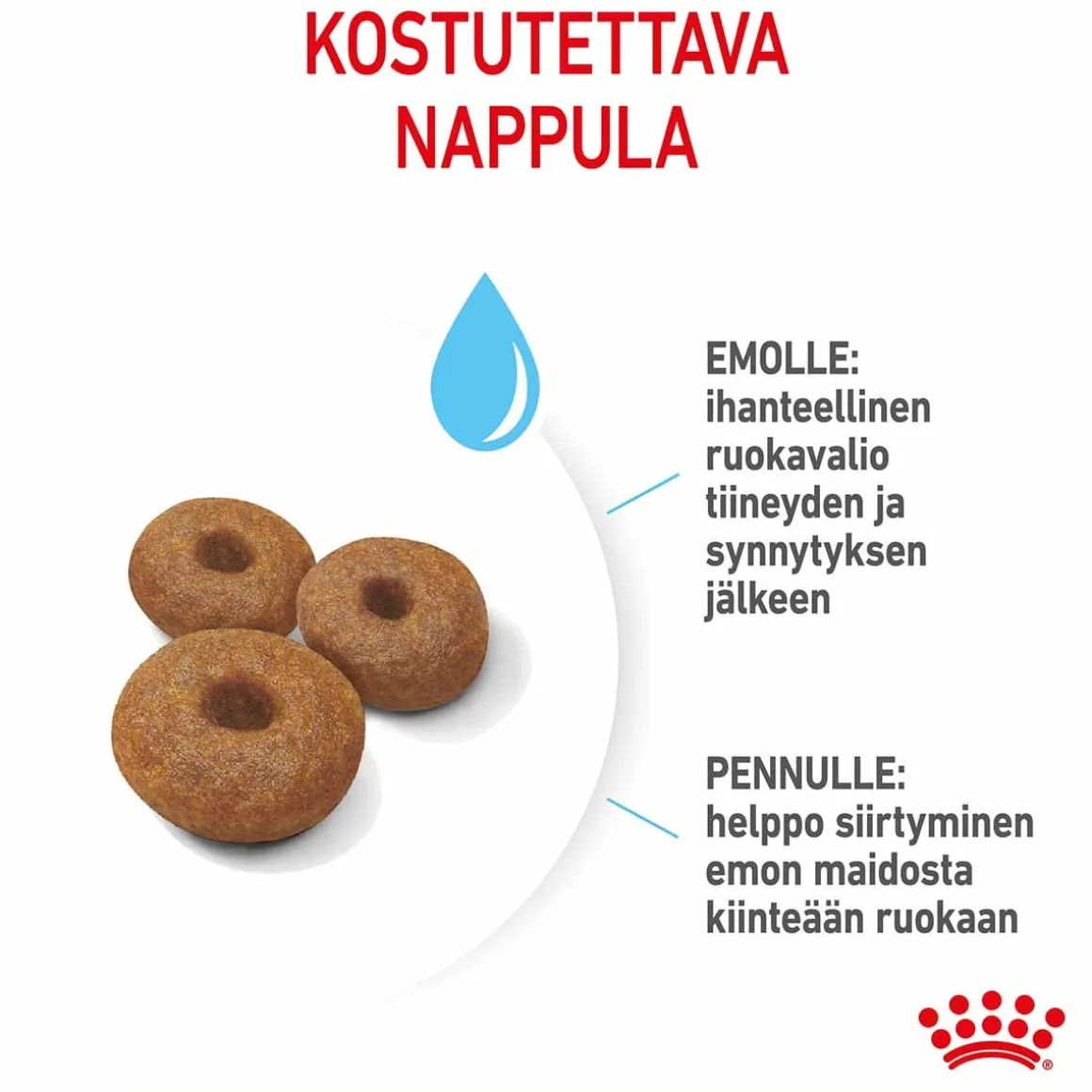 Royal Canin Maxi Starter