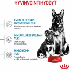 Royal Canin Maxi Starter