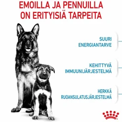 Royal Canin Maxi Starter