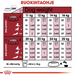 Royal Canin Medium Adult 7+