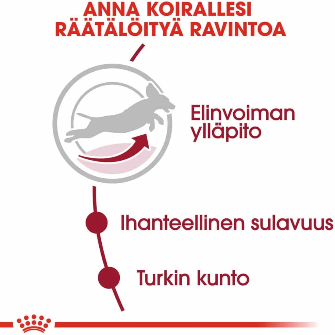 Royal Canin Medium Adult 7+