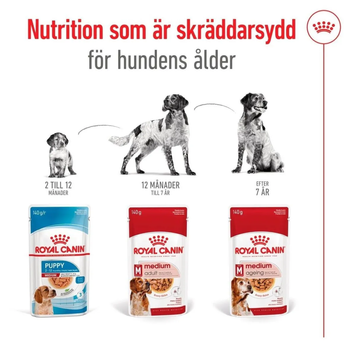 Royal Canin Medium Adult 40 x 140 g