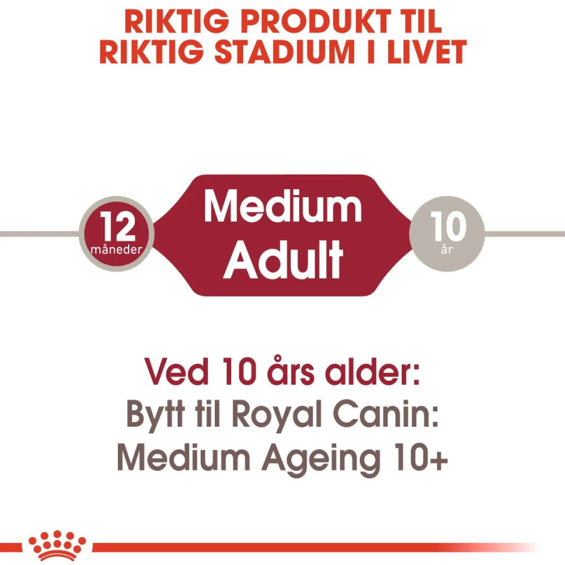 Royal Canin Medium Adult 40 x 140 g