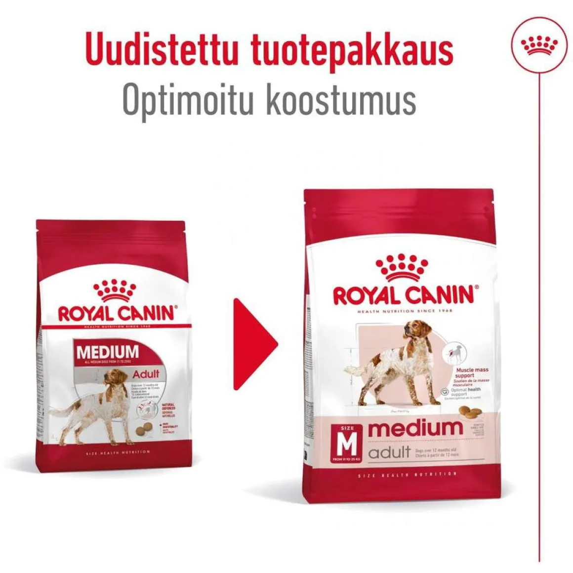 Royal Canin Medium Adult 2 x 15 kg