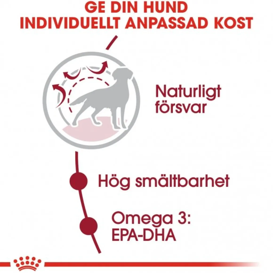 Royal Canin Medium Adult 2 x 15 kg