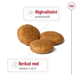 Royal Canin Medium Adult 2 x 15 kg