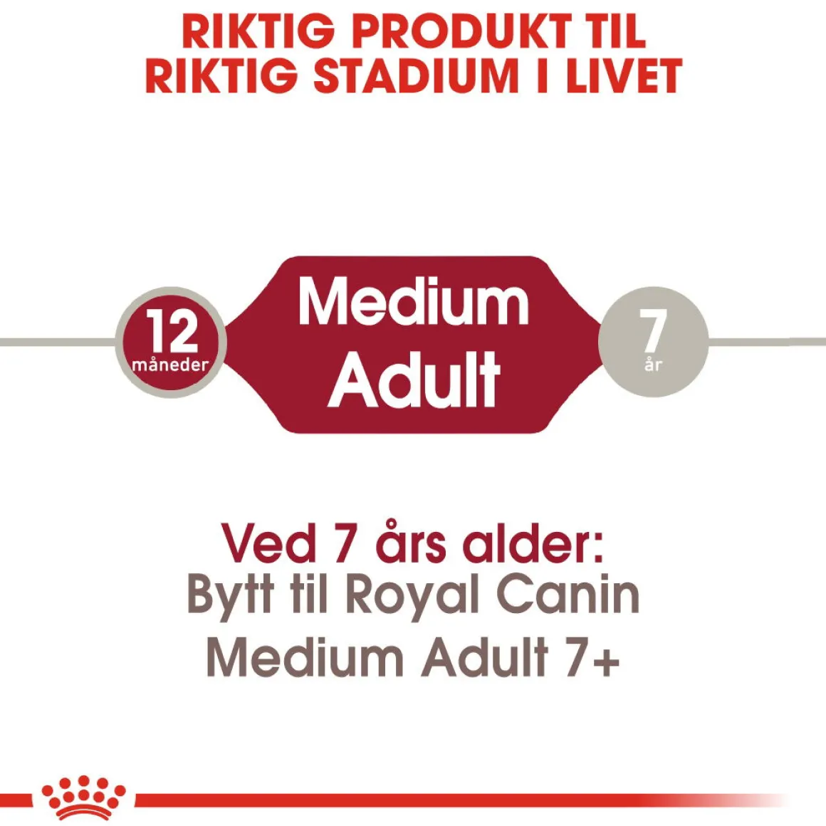 Royal Canin Medium Adult 2 x 15 kg