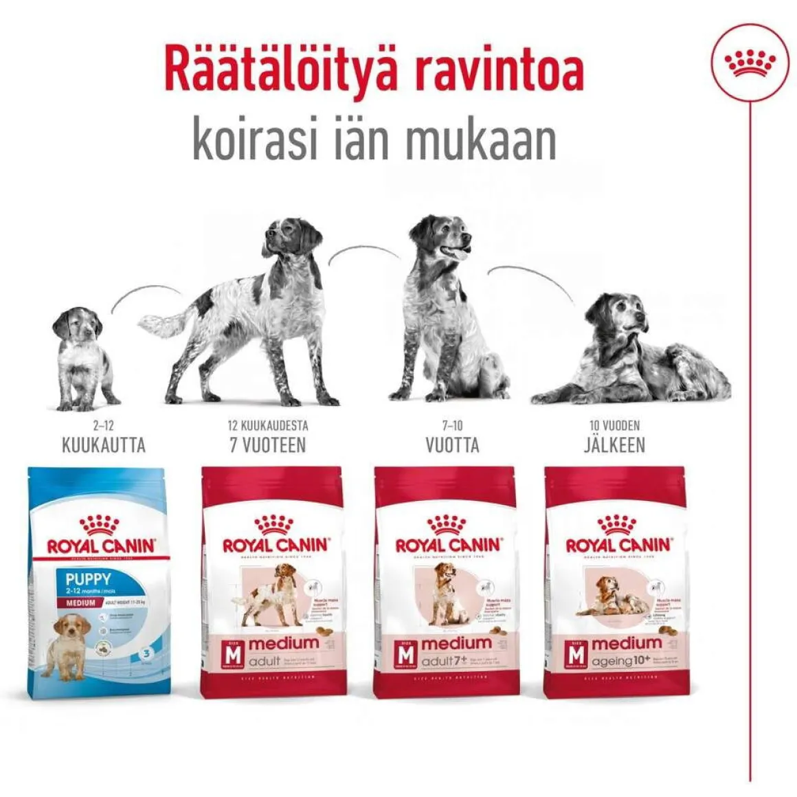 Royal Canin Medium Adult 2 x 15 kg