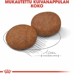 Royal Canin Medium Adult 7+ 2 x 15kg
