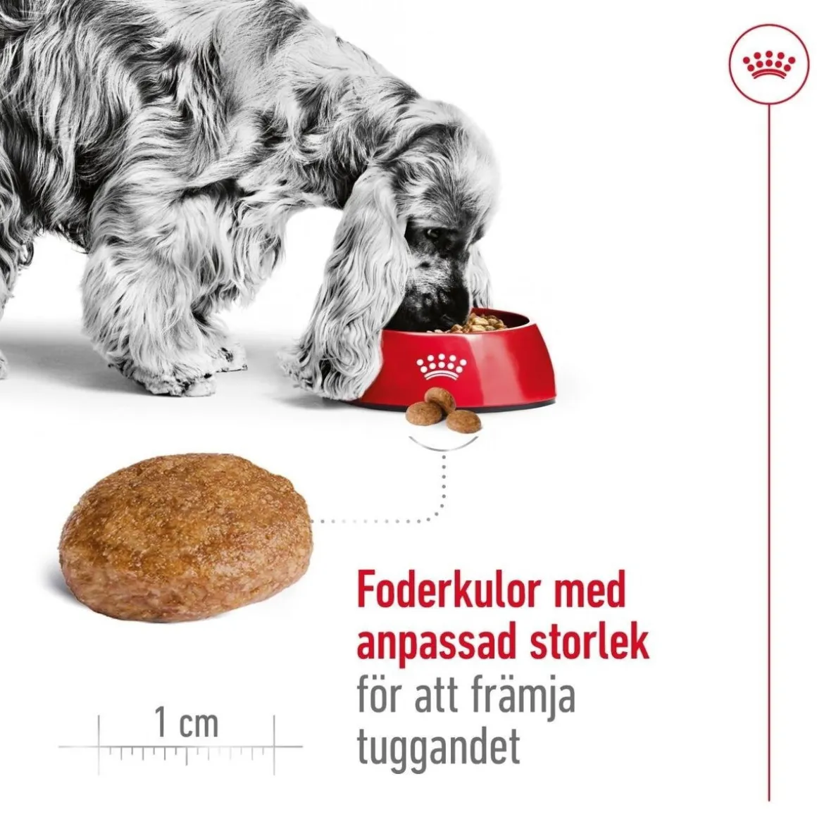 Royal Canin Medium Adult 7+ 2 x 15kg