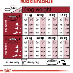 Royal Canin Medium Ageing 10+, 15 kg