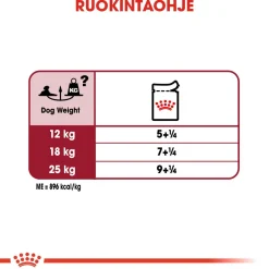 Royal Canin Medium Ageing Wet 10 x 140 g