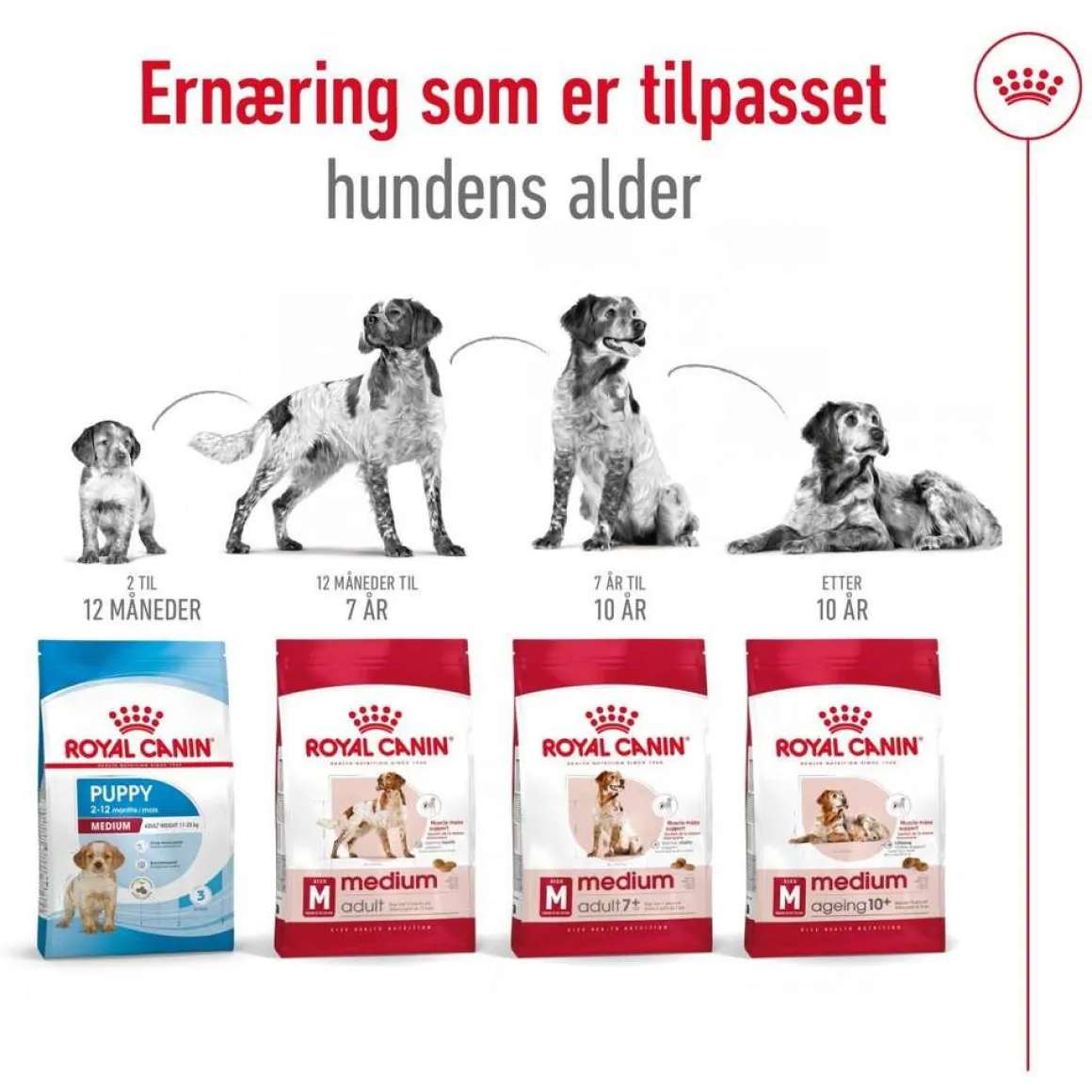 Royal Canin Medium Ageing 10+ 2 x 15kg
