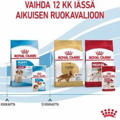 Royal Canin Medium Puppy Wet 10x140g