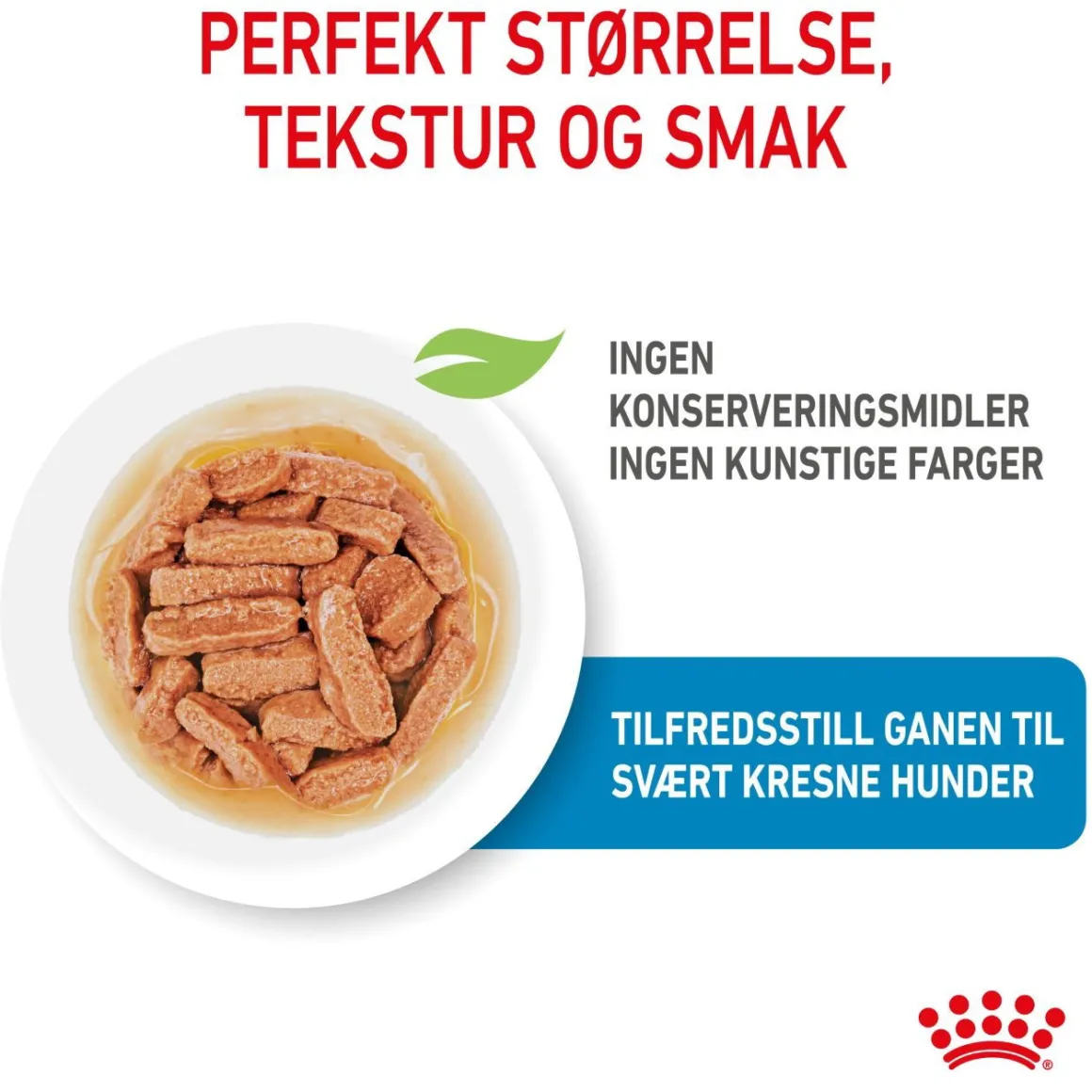 Royal Canin Medium Puppy 40x140 g