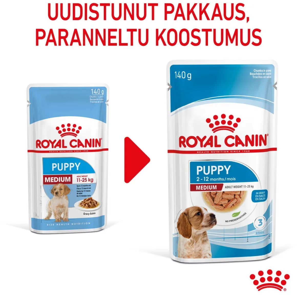 Royal Canin Medium Puppy 40x140 g