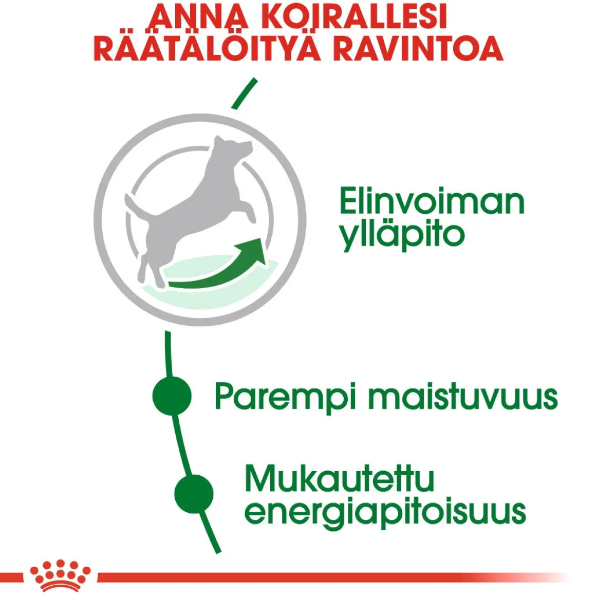 Royal Canin Mini Adult 8+
