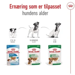 Royal Canin Mini Adult 48 x 85 g
