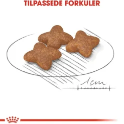 Royal Canin Mini Adult 2 x 8 kg